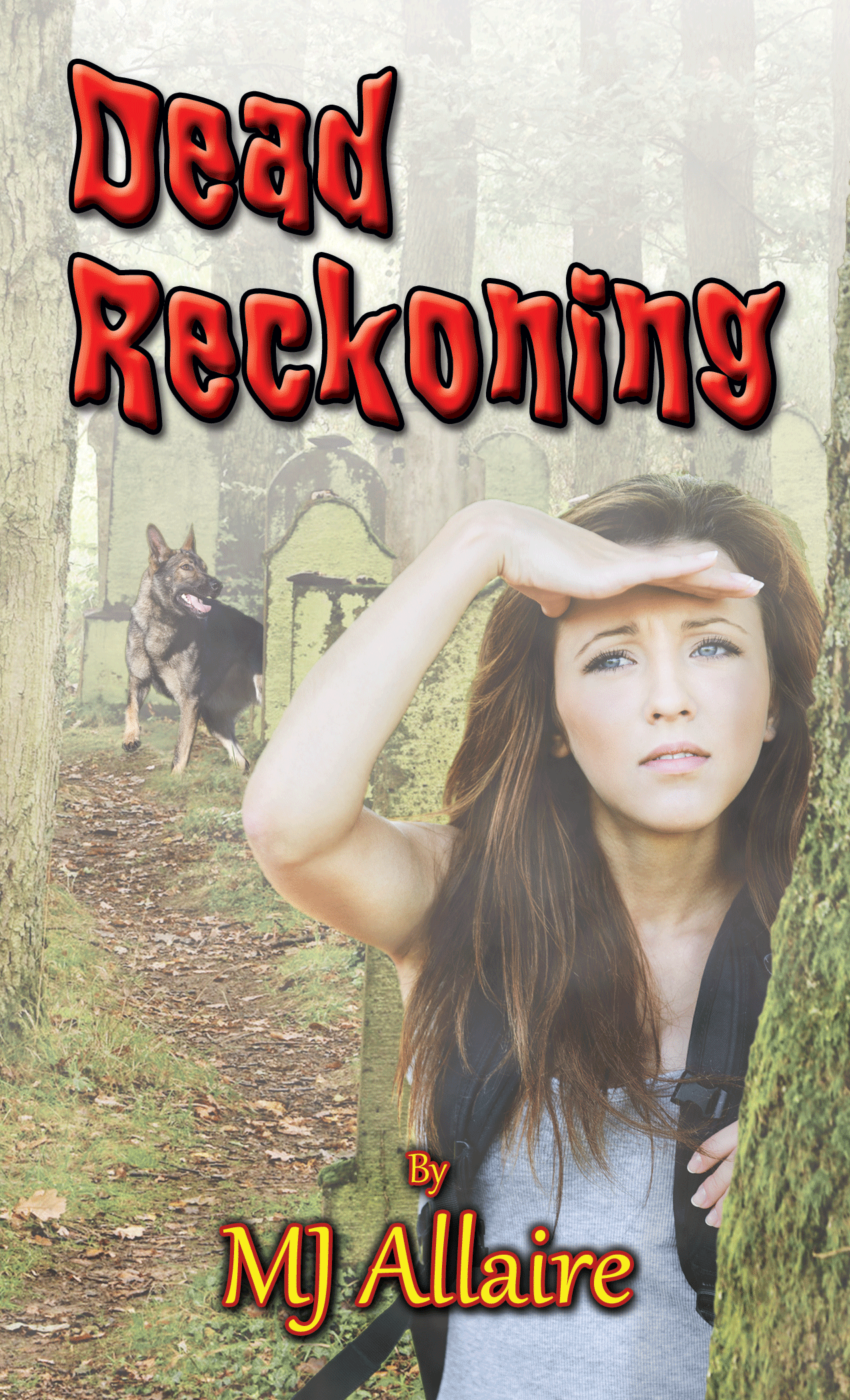 Cover for Dead Reckoning